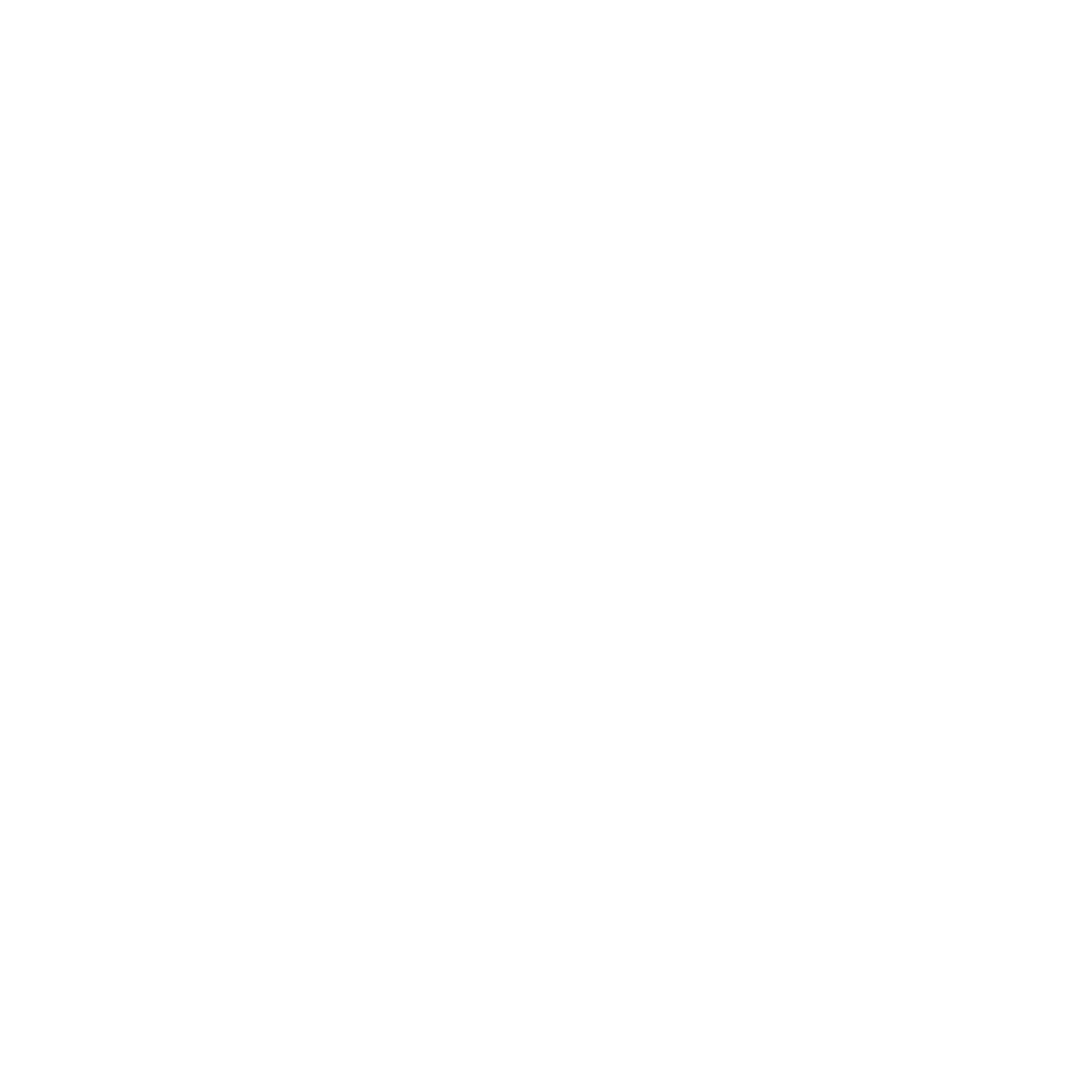FLUX HOUSE